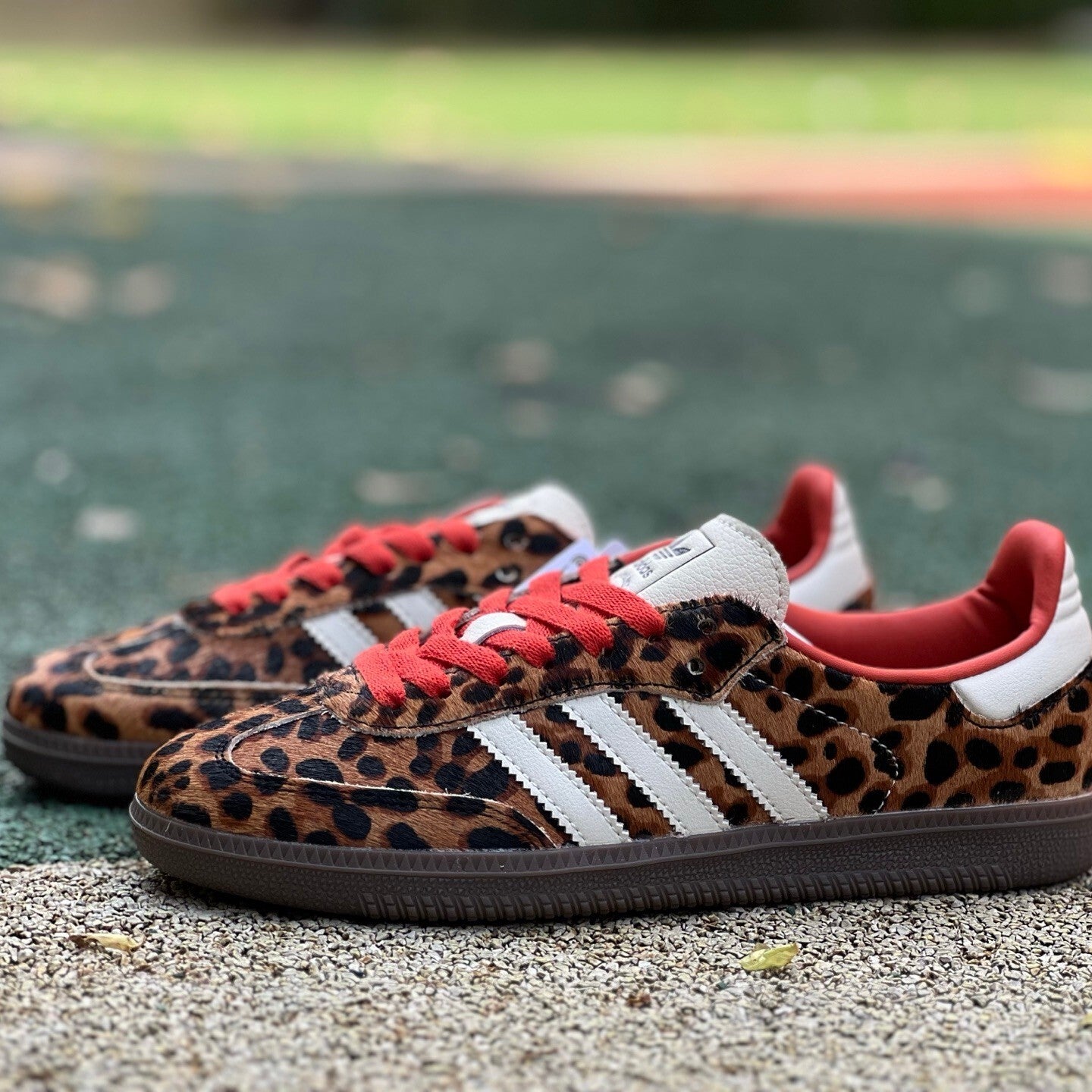 adidas Originals Women's Samba OG "Preloved Red Leopard"